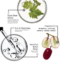 Morphosis Reinfocing Energizing Spray